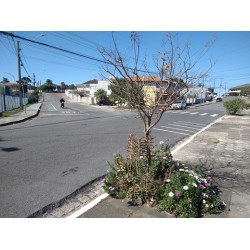 Duas ruas de Campo Largo terão sentido alterado a partir de 03/08